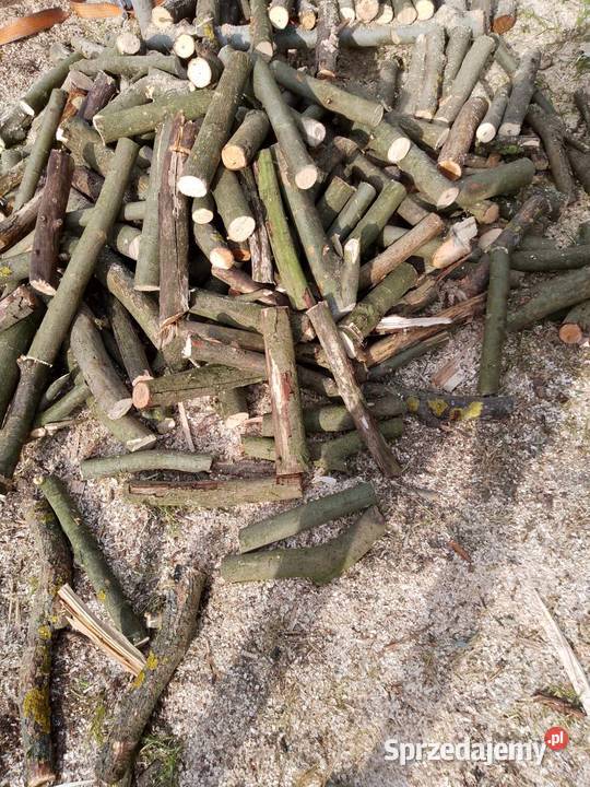 drzewo opałowe Sosnatopoladąbbrzoza z Gidle