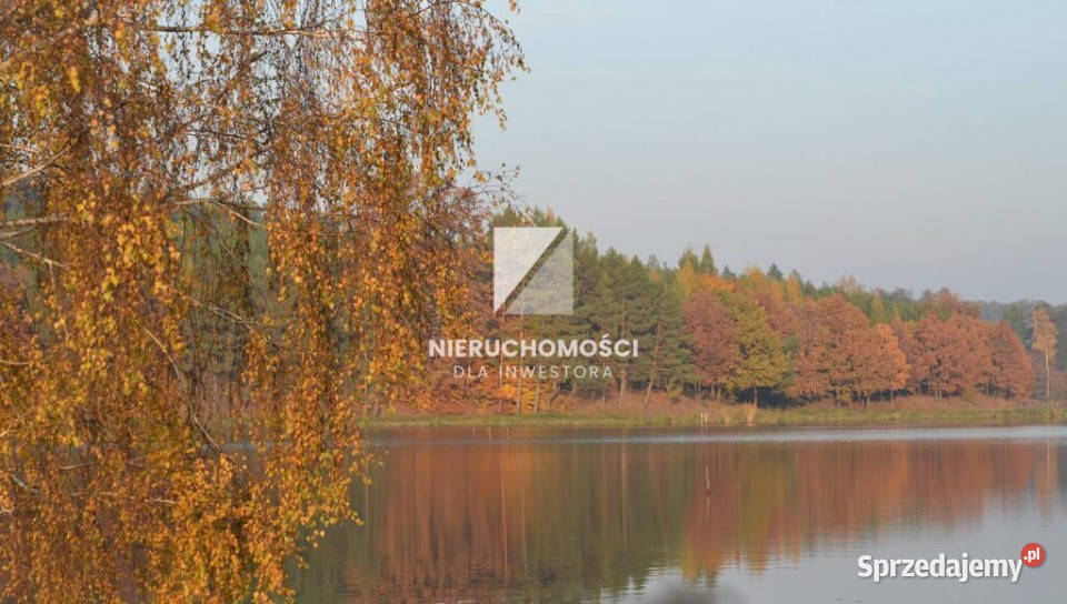 Działka budowlana 4000 mkw widok na staw Wełmin budowlana