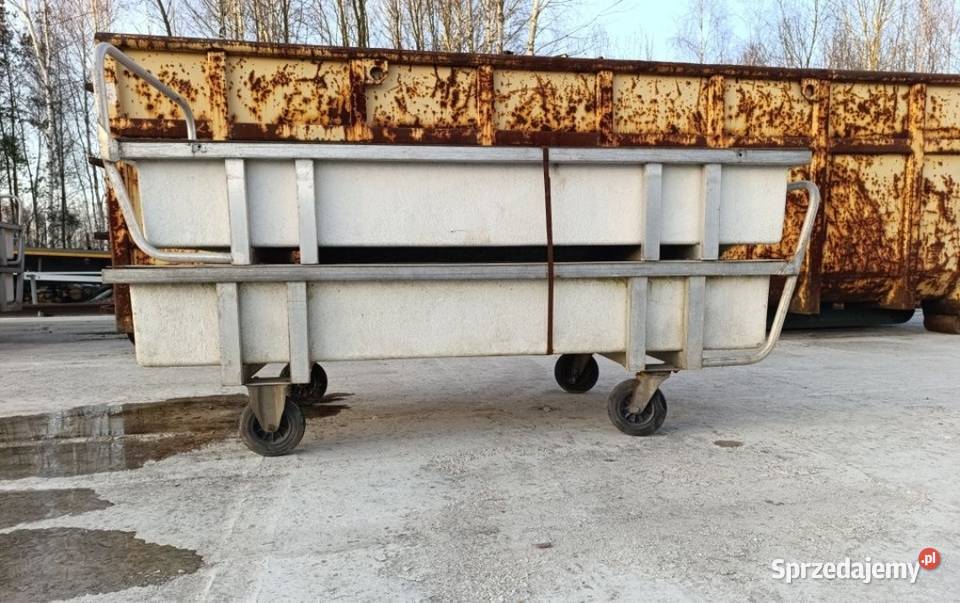 Wanna szklarnia kwiaty tulipan róża Czarny Las