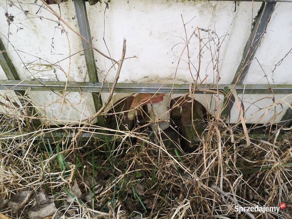 Mauzer Zbiornik Baniak Okazja wielkopolskie Swarzędz