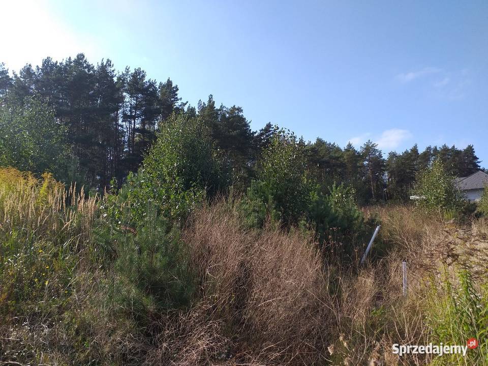 DZIAŁKA BUDOWLANA Z LASEM 1500M2 PIŁA DOLASZEWO woda Piła