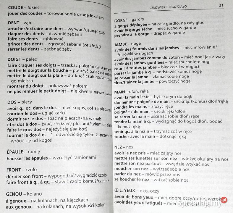 Mały słownik tematyczny francuskopolski B Chełm sprzedam