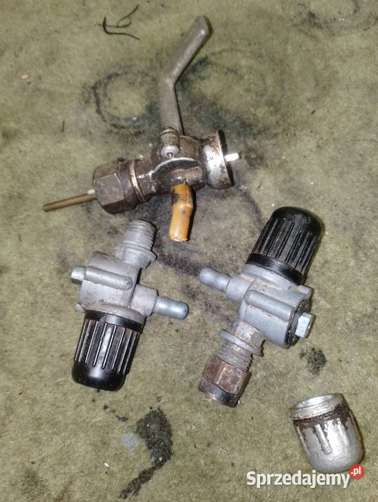 Junak kraniki Pogrodzie