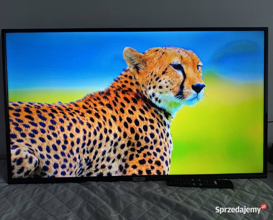 Telewizor TCL 43P615 43 LED 4K Android Wifi HDMI lubuskie Żagań