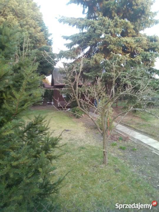 Sprzedam prawa do dzialki Rod Sochaczew