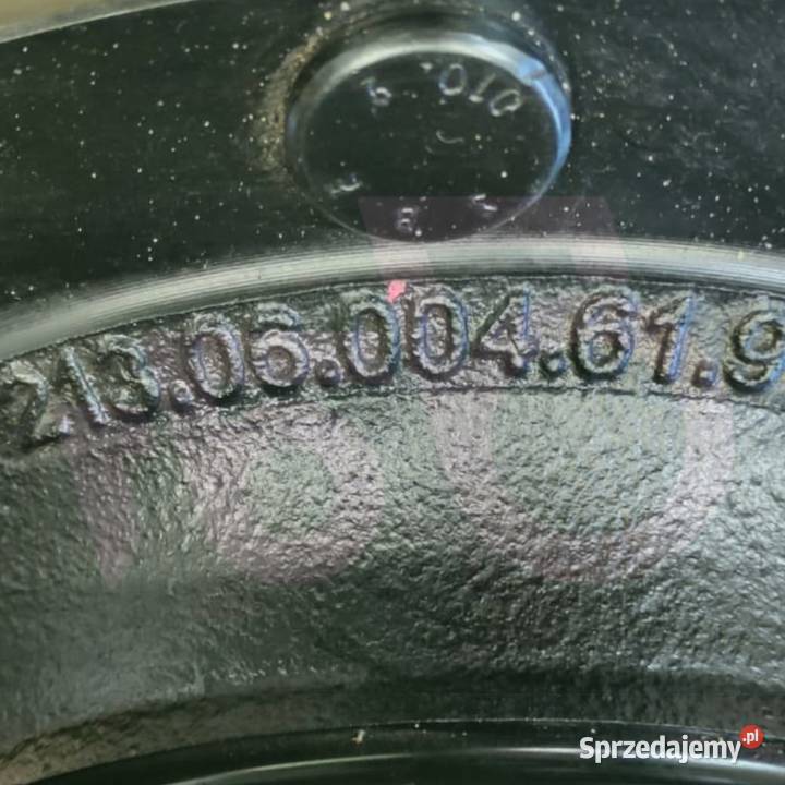 Zwolnica kompletna 22389 Dana Spicer 21306004619 Wilkowo