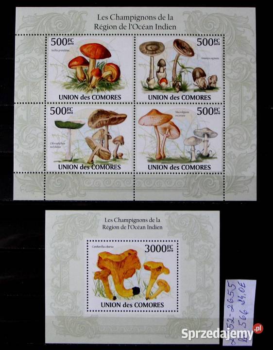 Komory wielkopolskie Oborniki