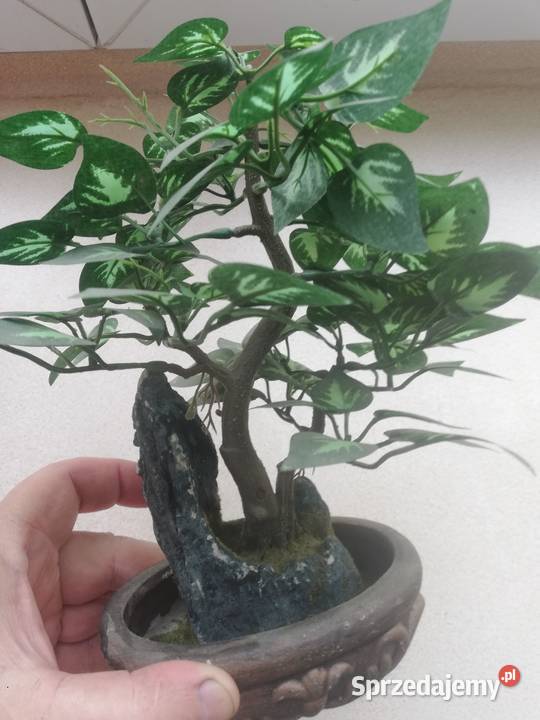 Drzewko sztuczne dekoracyjne mazowieckie Warszawa