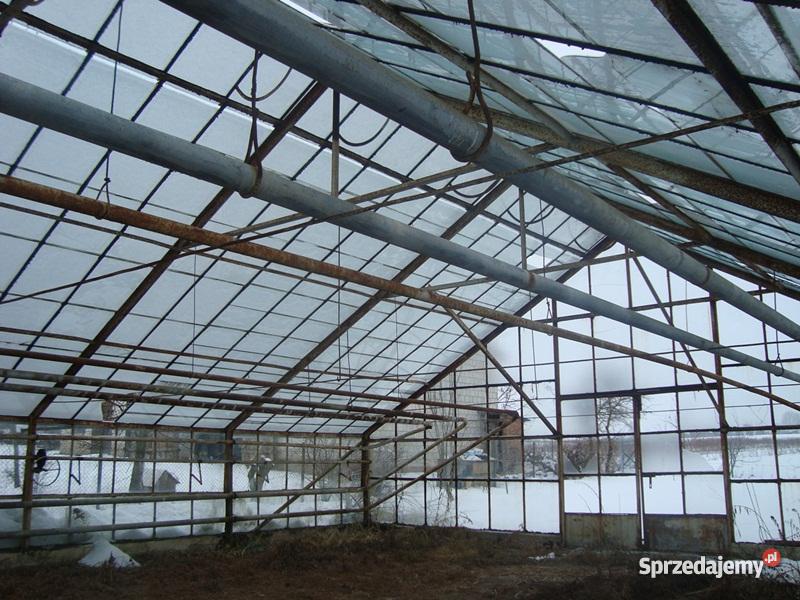 szklarnię do rozbiórki