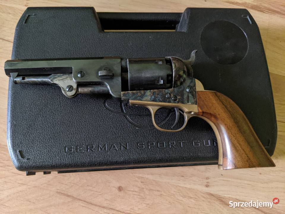 Colt czarnoprochowy mazowieckie Ostrołęka sprzedam