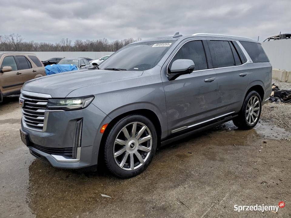 2020 CADILLAC ESCALADE PREMIUM LUXURY PLATINUM SUV Escalade Częstochowa