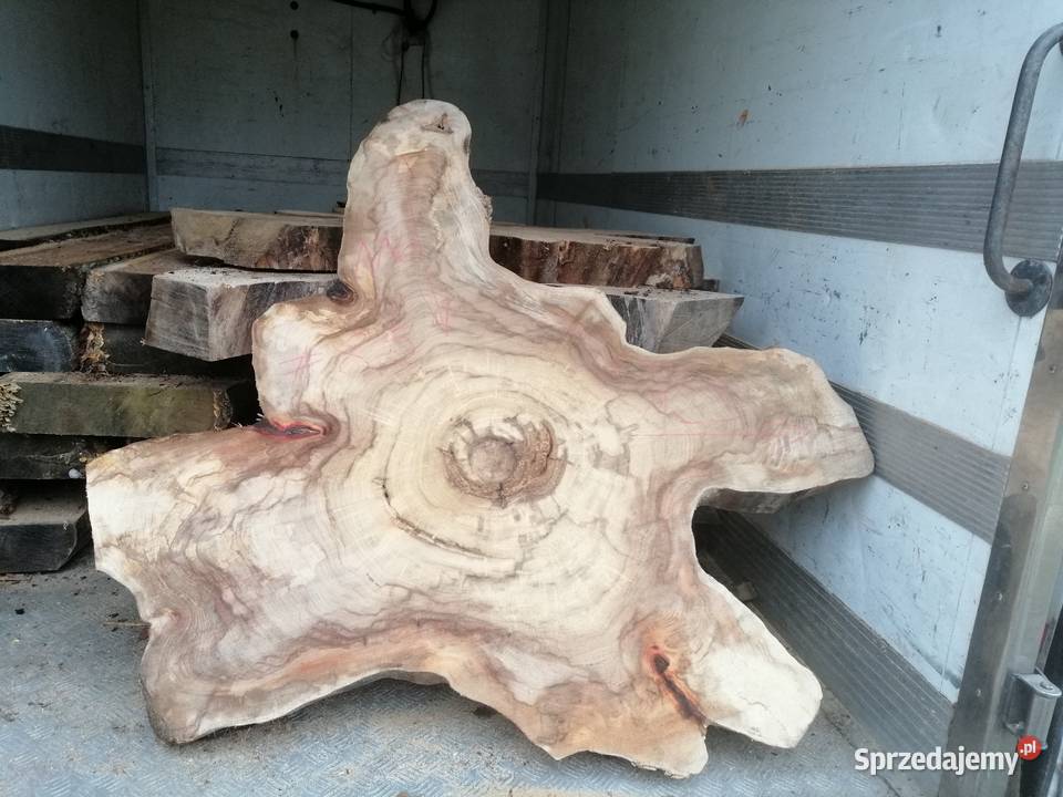 Stolik kawowy plaster wiązu 100 x 100 x7 Meble mazowieckie Przysucha