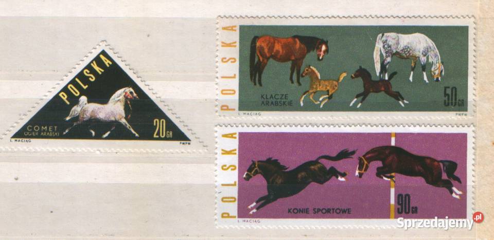 Zn Fi 1299 302 4 1963 Gliwice