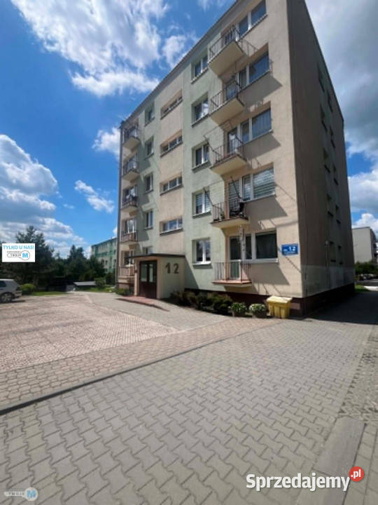 Ogłoszenie mieszkanie 557m2 3pokojowe BuskoZdrój Busko-Zdrój