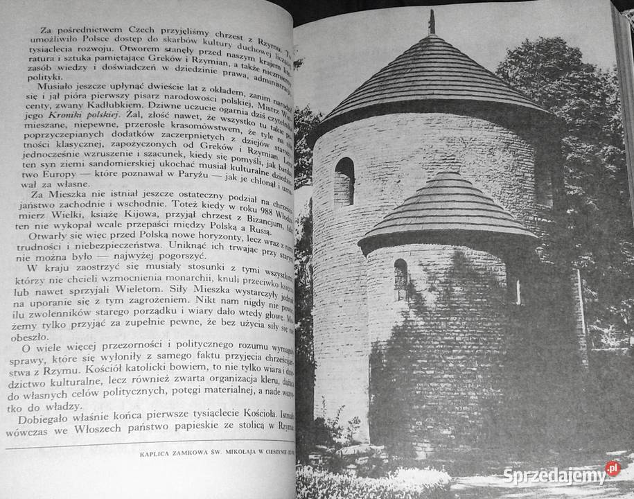 Polska Piastów Paweł Jasienica sprzedam