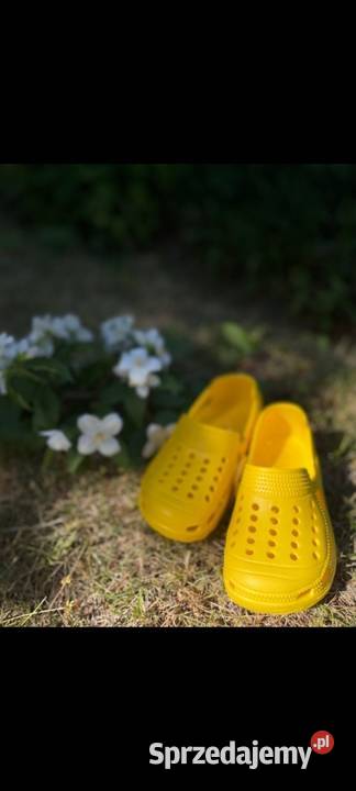 Kroksy basen plaża dzieci hurt Crocs Puławy