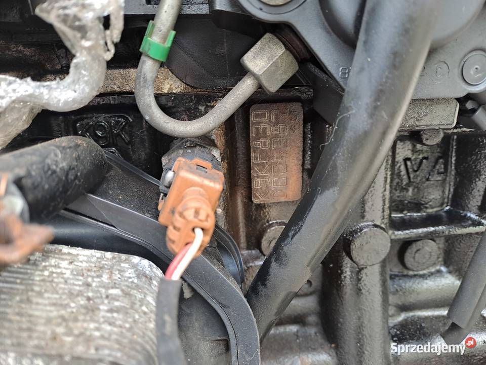 Dacia Dokker Sandero Renault Kangoo 15 DCi Jastrzębie-Zdrój