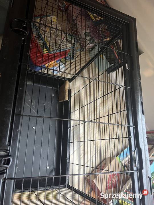 Klatka gryzonii duża szczur szczurów szynszyli Jaworzno