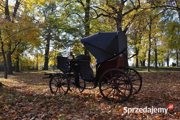 Powoz konny zabytkowy Victora kooperacja Góra Puławska