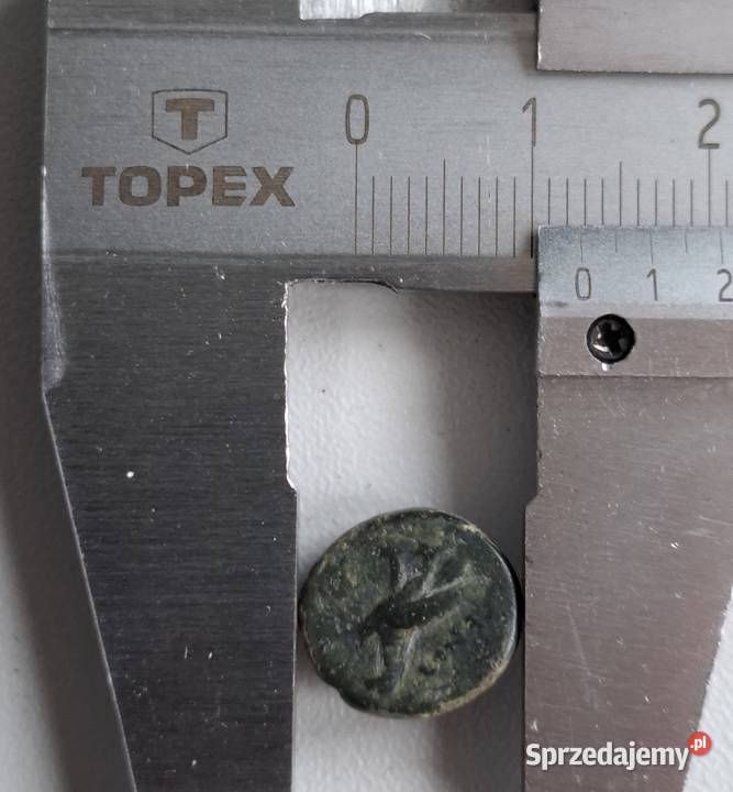 Moneta antyczna Grecja Aeolis Kyme 350250 BC Wejherowo