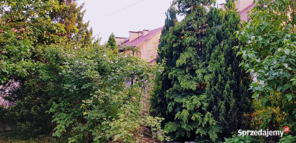 Ogródek działkowy Czeladź Piaski kostka