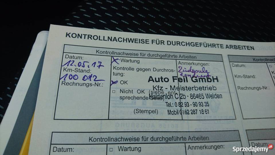 Renault Clio Rip Curl 2008 Marki