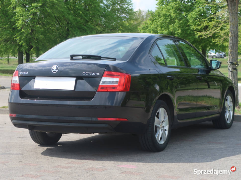 Skoda Octavia 16 TDI Bielany Wrocławskie