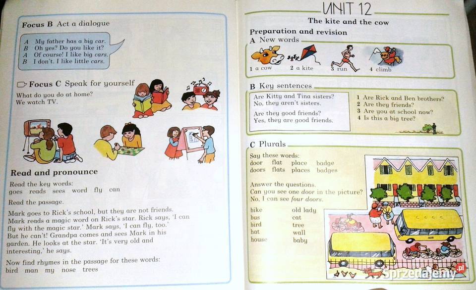 Pathway 1 Pupils Book Neil Hawkes Donald Dallas sprzedam