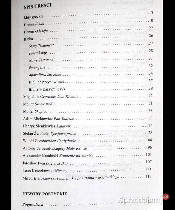 Opracowania lektur kl 2 Gimnazjum J Poznański miękka Chełm