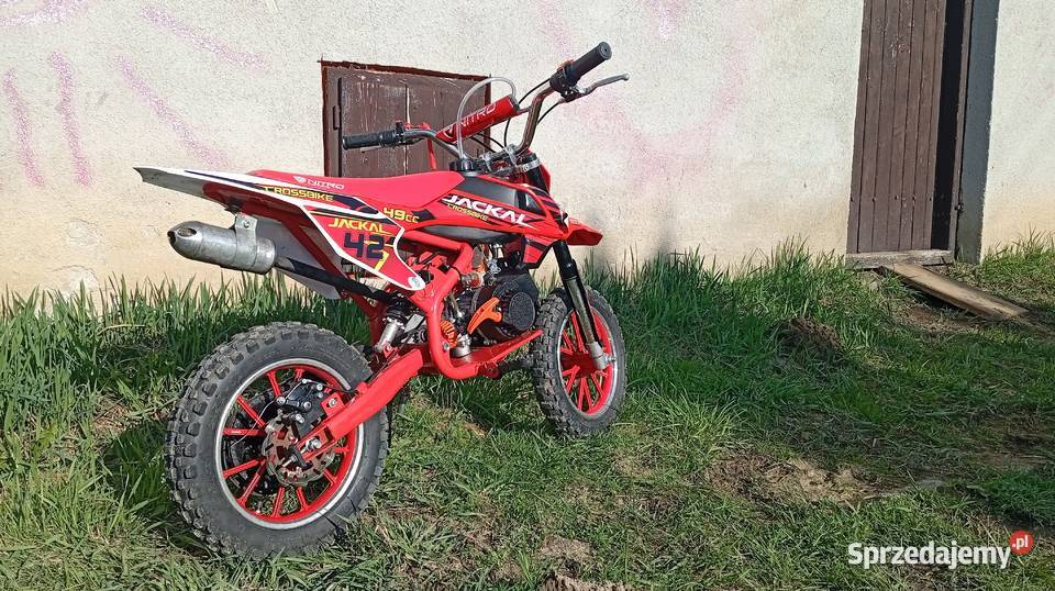 Pocket Cross Jackal nitro 50cc Rok produkcji 2019 małopolskie