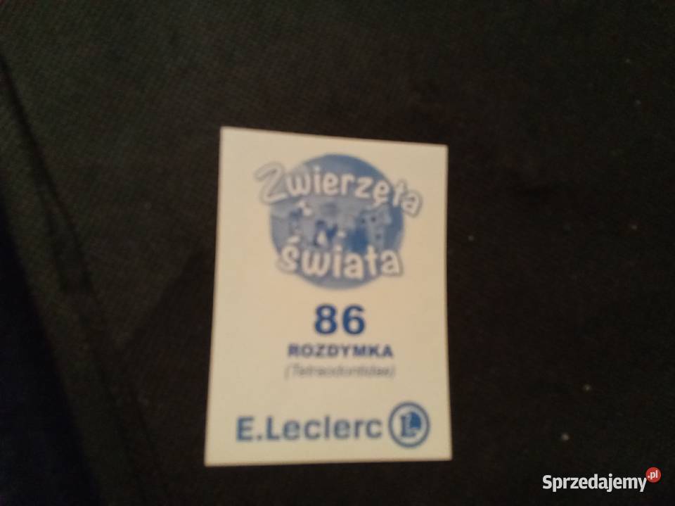 Naklejka sensoryczna zwierzęta świata rozdymka sprzedam