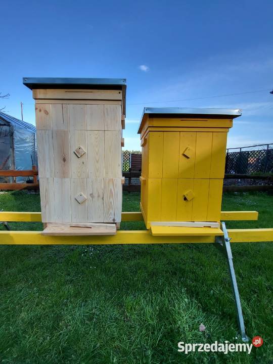 Ule wielkopolskie ule drewniane Pszczelarstwo