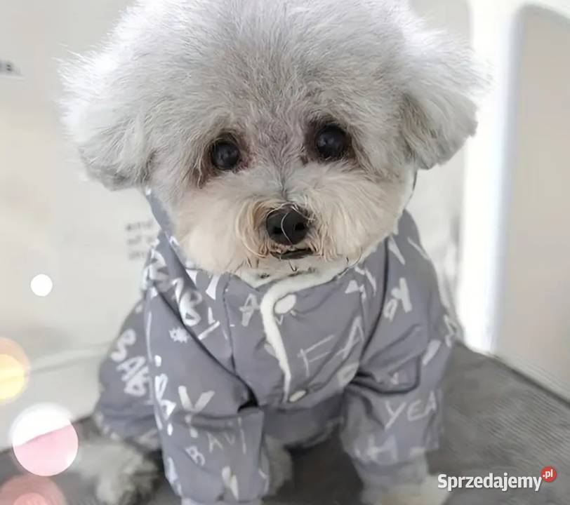 Ocieplana odblaskowa kurteczka małego pieska S Dla psów sprzedam