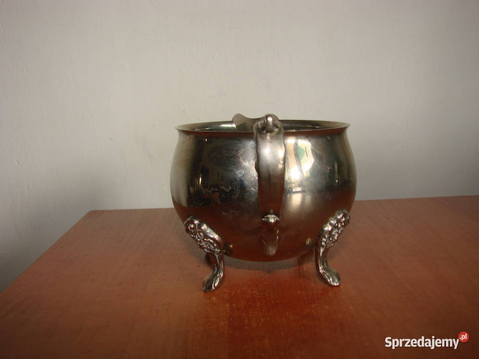 mlecznik plater Pruszcz Gdański