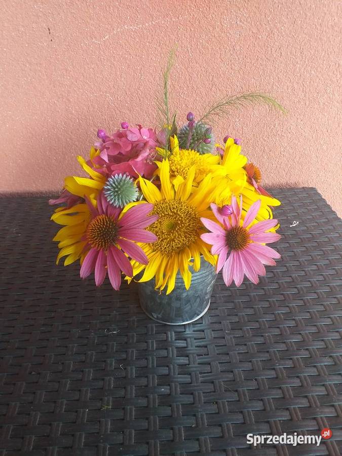 Słonecznik Gierałtowiczki