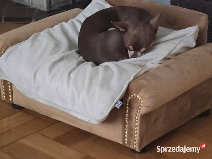 Legowisko sofa kanapa psa chihuahua pomeranian mazowieckie Warszawa