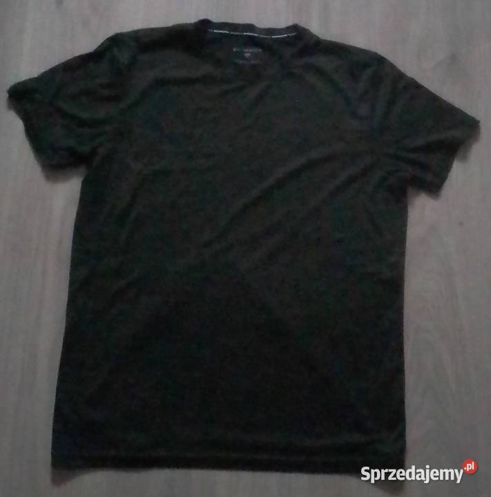 Koszulka męska Endurance