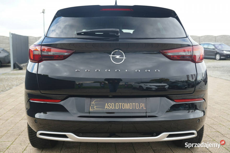 Opel Grandland X FUL LED skóra NAWI kamera blis Grandland X Otmuchów
