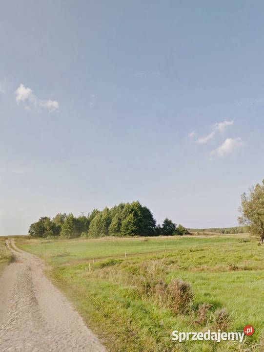 Z pięknymi widokami Łabędzie