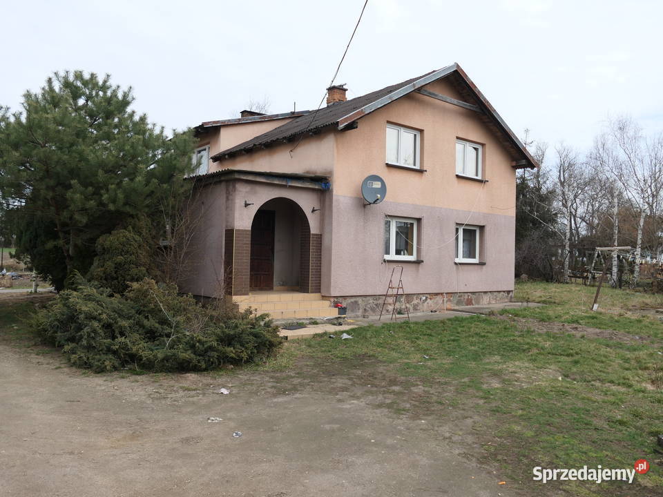 Syndyk sprzeda Obrąb