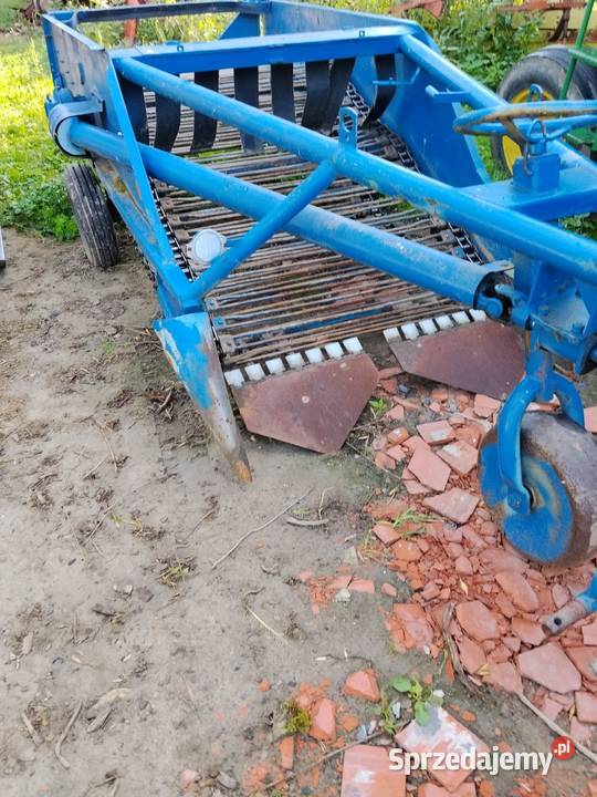 Kopaczka nieuszkodzony Zaleszany