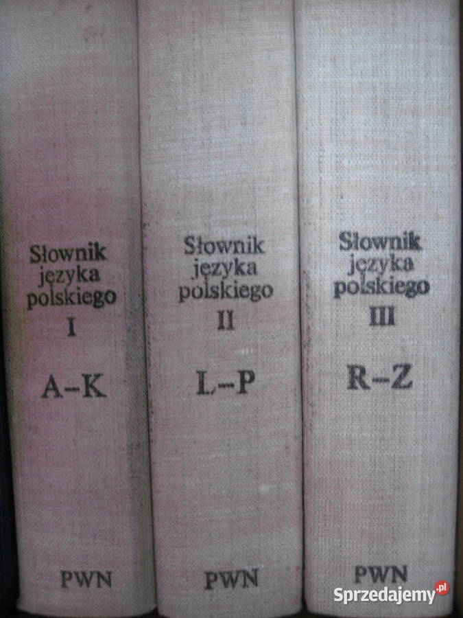 Słownik języka polskiewgo PWN