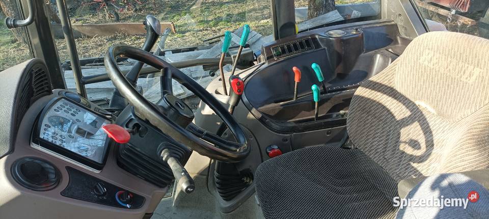 Renault Celtis z turem Puńców