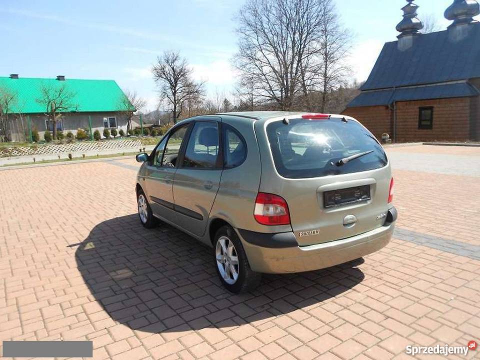 Renault Scenic nieuszkodzony zielony Scenic Grybów sprzedam