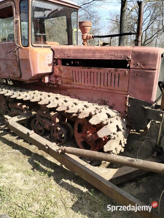 Spycharka DT 75 Błotniak podkarpackie Tarnobrzeg