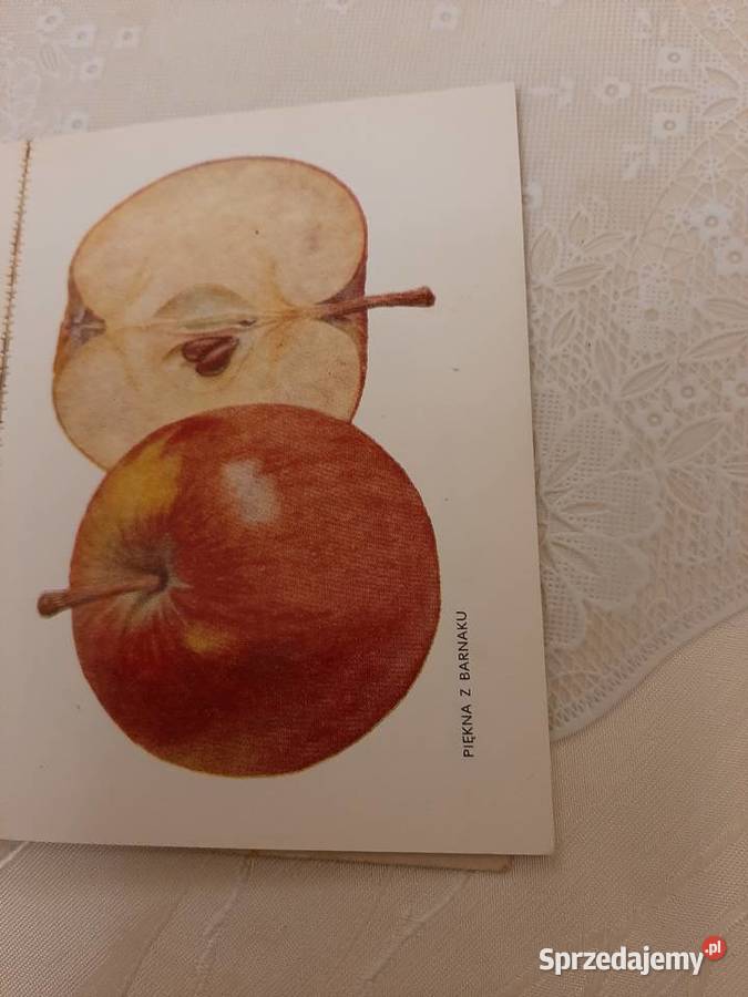 Atlas jabłek 1979 r Stronie Śląskie sprzedam