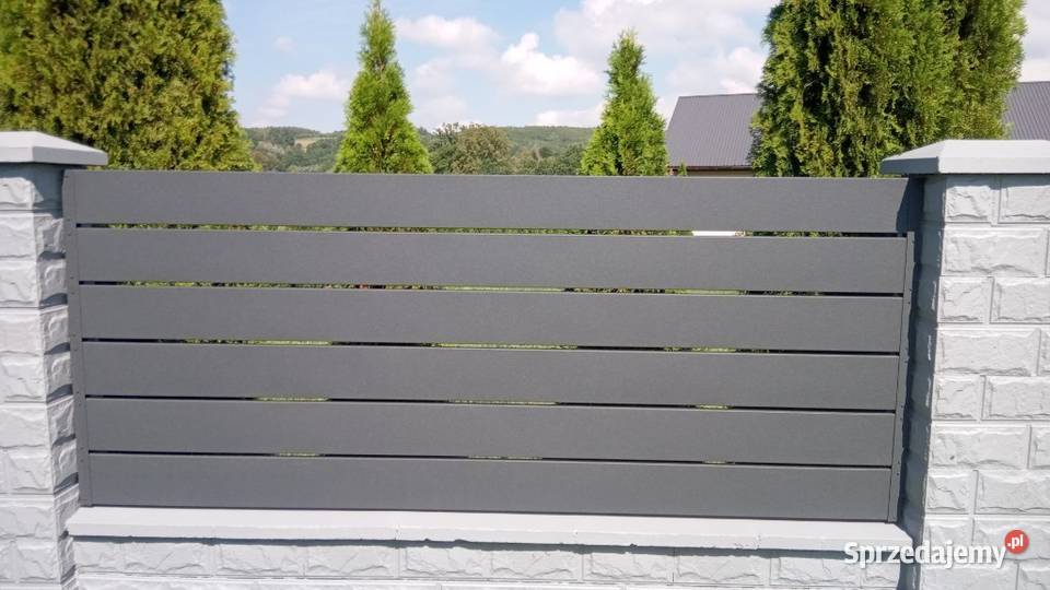 Panel ogrodzeniowy szerokość 20 Przęsła Dębica