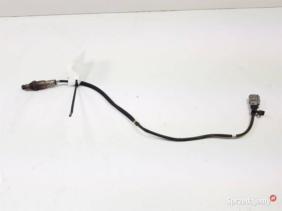 SONDA FORD FUSION MK5 ED8A9G444BB Lipno sprzedam
