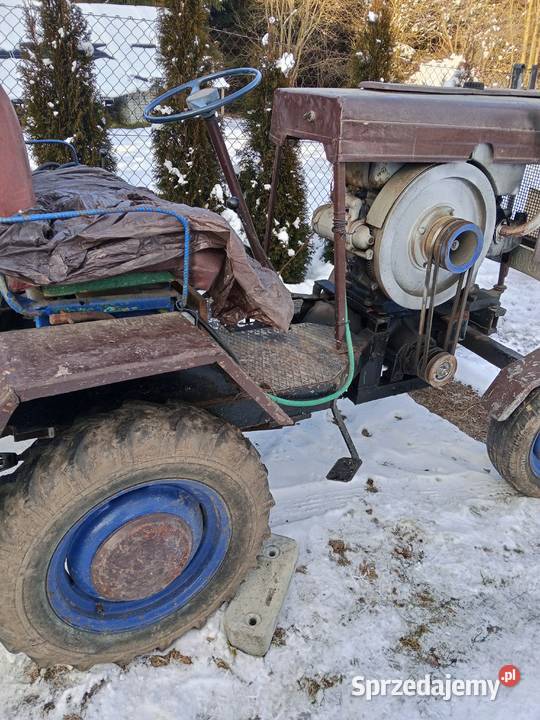 Sam esiok papaj Kocmyrzów