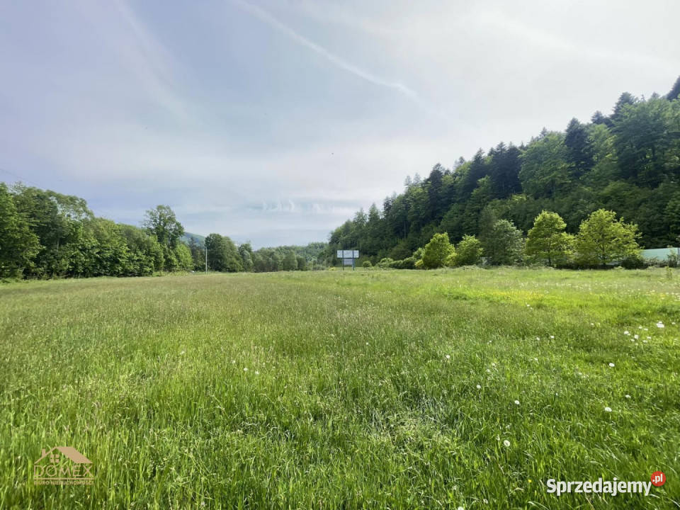sprzedaży gruntu Ustroń 8091m sprzedam